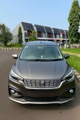 Dijul Ertig GX Matic 2018