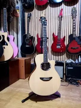 Akustik elektrik eq7545r medium
