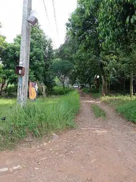 Tanah PASIR ANGIN CILEUNGSI Bogor LOKASI STRATEGIS (Bisa cicil 2x)