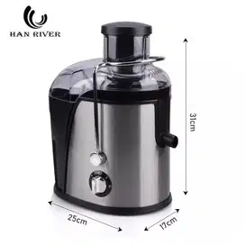 Han river slow juicer