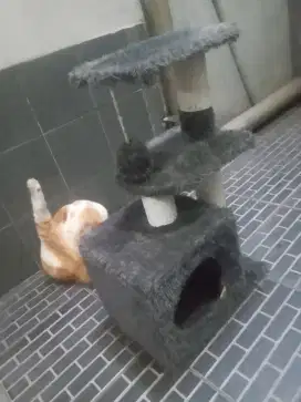 Cat tree good condition jarang dipakai