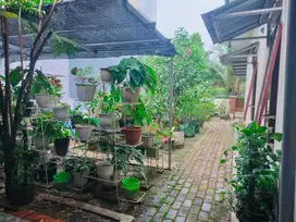 Rumah Besar Harga Murah Di Ekawarni Medan Johor