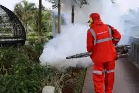 JASA PEST CONTROL PANGILAN