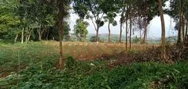 di jual tanah kebun di Leuwiliang bogor