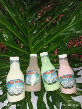 Susu kambing aneka varian rasa