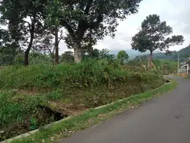 di jual tanah sawah air melimpah view gunung di pamijahan bogor