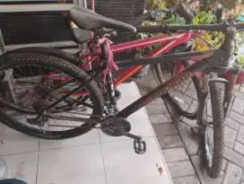Polygon shimano dan monarch