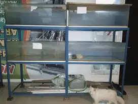 Aquarium dan Rak