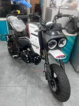 Cfmoto papio xo 2 harga ekonomis