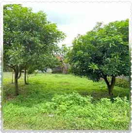 JUAL CEPAT NEGO TANAH SIAP BANGUN