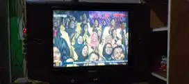 Tv Sharp Alexander slim 29