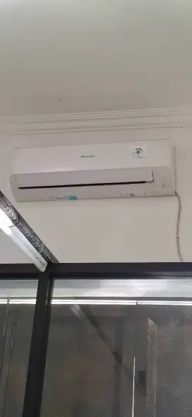 Ac Sharp 1/2 PK