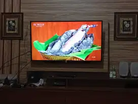 Jual tv led sharp aquos 42  inc analog