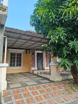 Rumah Sewa murah di Citragran Cibubur