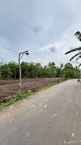 65 Jt-an Belakang Mandalamart