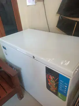 Flezer BOK RSA uk 300 lt nego