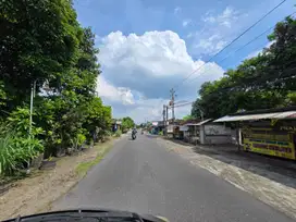 Luas 100-an; Utara Pasar Cebongan