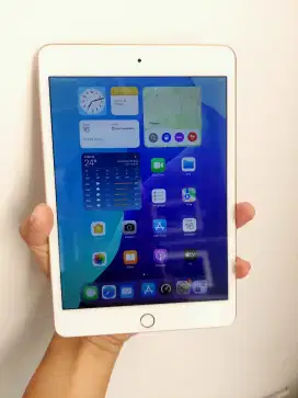 Ipad mini 5 64gb Gold