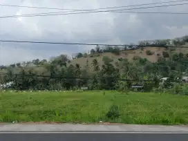Premium hill Land for sale view 3 Gilis and Rice Field