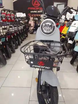 E-Bike Pacific Relicus