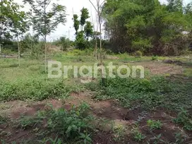 TANAH DI TANJANGRONO MOJOKERTO COCOK BUAT INDUSTRI RINGAN