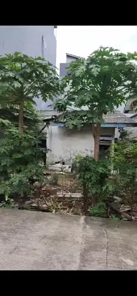 Dijual cepat rumah tua itung tanah 1 lantai di komplek KFT Taman Palem