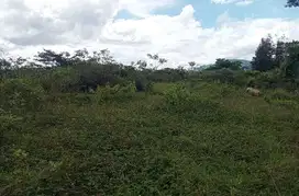 Tanah murah meriah nempel jalan kabupaten