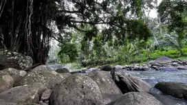 Jual tanah luas kecil view sungai cantik di tabanan Bali.