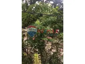Dijual Tanah Kebun di Sentul, Bogor 2.400m2 SHM