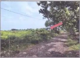 Tanah Luas Dan Murah Strategis Desa Martopuro, Purwosari Pasuruan