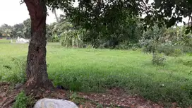 DIJUAL TANAH KOSONG UNTUK INVESTASI DI BOGOR