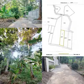 Kebun Durian Produktif Daerah Gunungpati