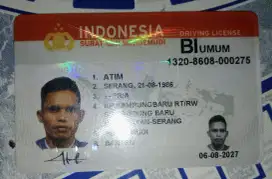 Sedang mencari lowongan driver