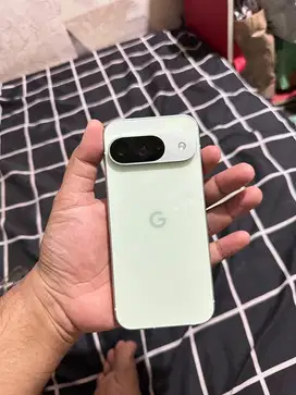 Google Pixel 9 -Wintergreen