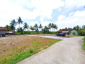Tawangsari Kulon Progo, Tanah Jogja Dekat Bandara YIA