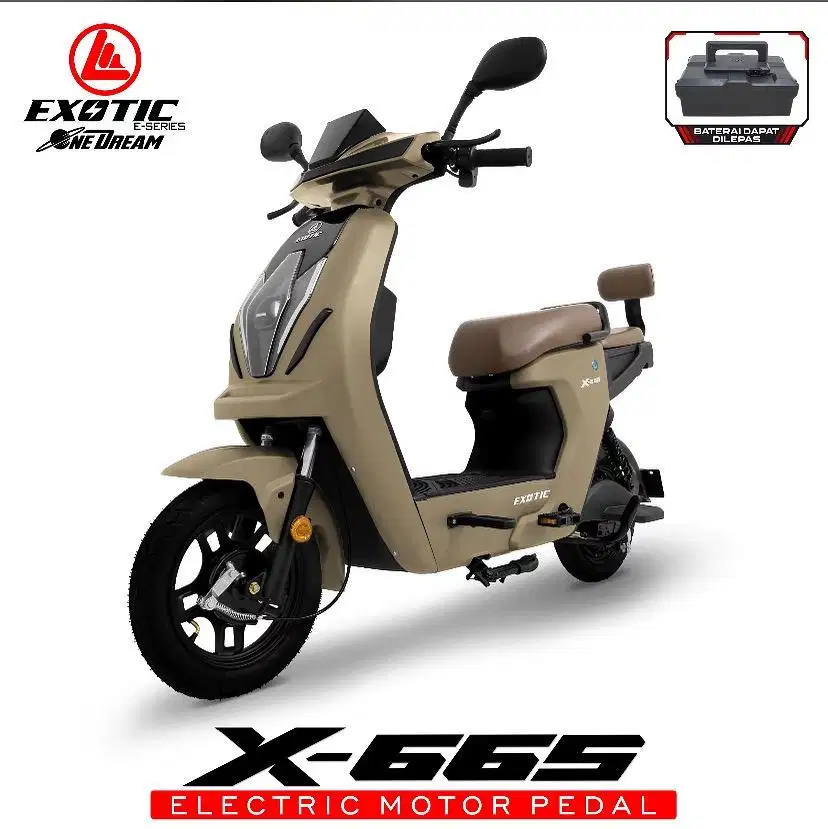sepeda listrik EXOCTIC