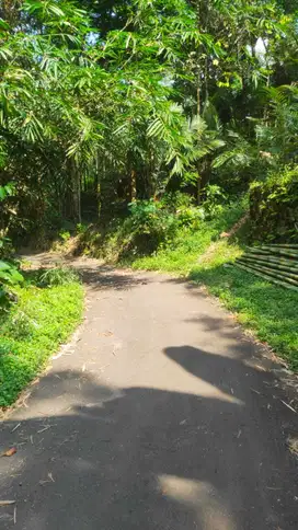Tanah Murah Girikerto Turi Sleman Yogyakarta
