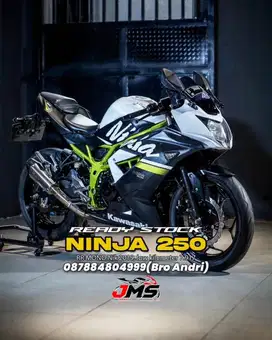 KAWASAKI NINJA 250SL MONO NIK 2019
