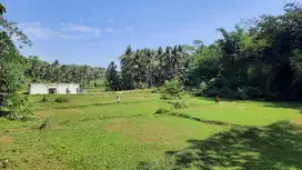 Nanggulan Kulonprogo - Tanah Murah Jogja Dekat SMA N 1Sentolo