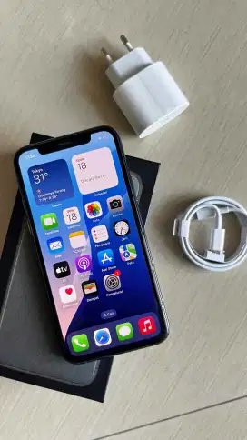 Iphone 11 pro 256gb beacukai