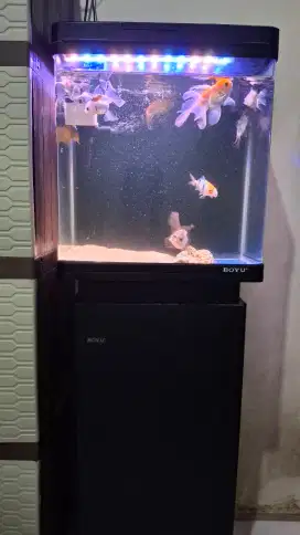 Aquarium ikan + Cabinet