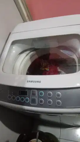 Mesin cuci samsung 1tabung 7kg