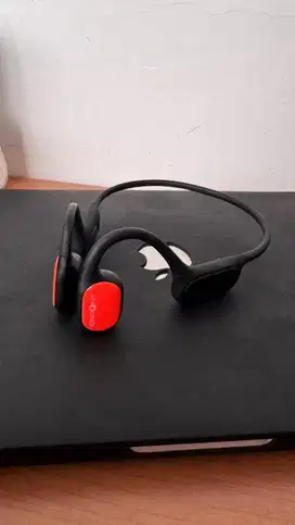 ONPOINT IRON Ear Bone