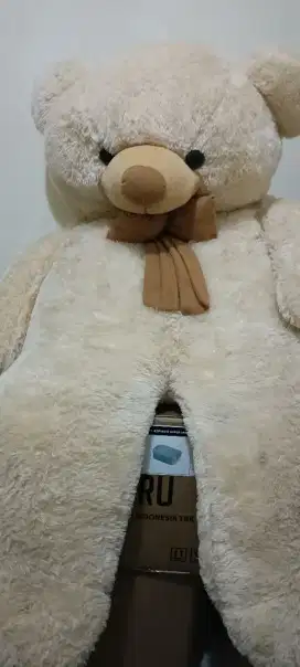 Boneka Teddy bear besar