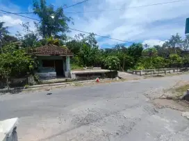 Dijual tanah kebun pinggir jalan
