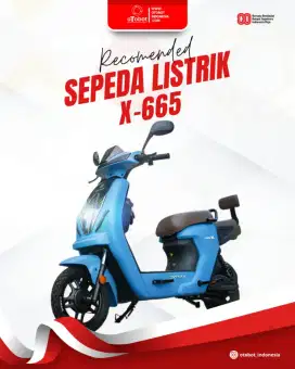 SEPEDA LISTRIK EXOTIC X-665