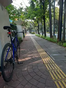 Road Bike Thrill Enthral 3.0 Size 48