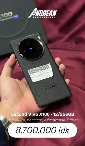 Second Vivo X100 12/256 gb