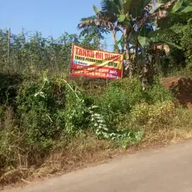 Dijual cepat tanah cocok untuk perkebunan