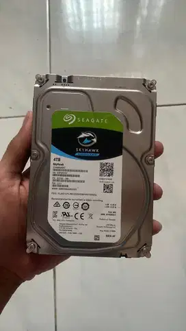 Hardisk 4TB Healt 100/100